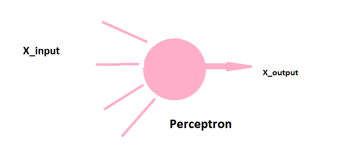 A perceptron receiving four input features